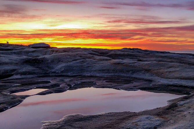 Phone Photo Workshop - Sunset Coogee Beach - Play With Time! - Essential Equipment
