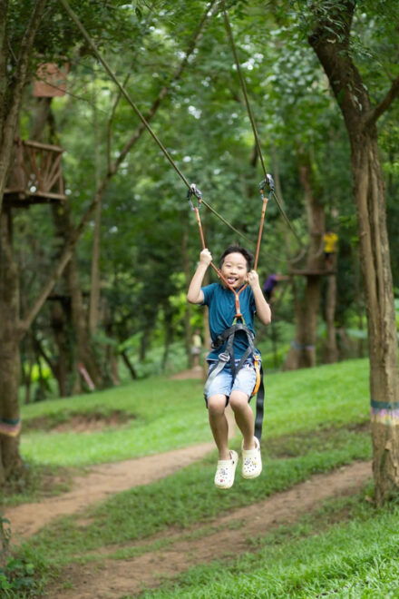 Phong Nha Cave and Ozo Park Guided Tour From Dong Hoi - Frequently Asked Questions