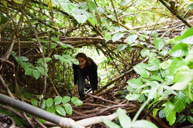 Phong Nha: Experience Jungle Adventures and Wildlife Tours - Participant Requirements