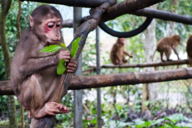 Phong Nha: Experience Jungle Adventures and Wildlife Tours - Essential Packing List