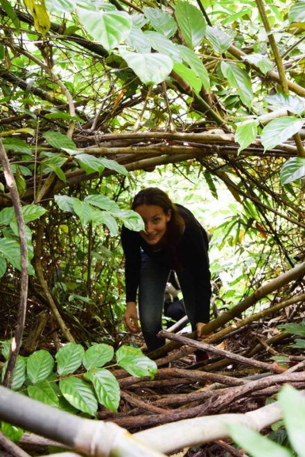 Phong Nha: Experience Jungle Adventures and Wildlife Tours - Safety and Restrictions