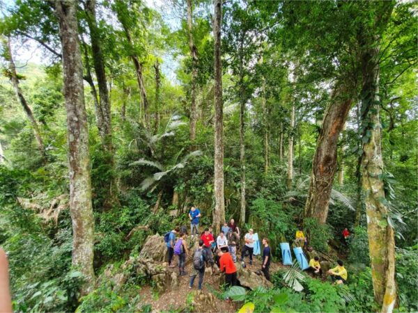 Phong Nha: HướNg DẫN Tham Quan VườN QuốC Gia Phong Nha Cùng BữA TrưA - The Sum Up