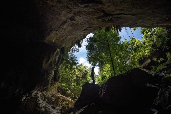 Phong Nha National Park - Group Tour - What to Expect