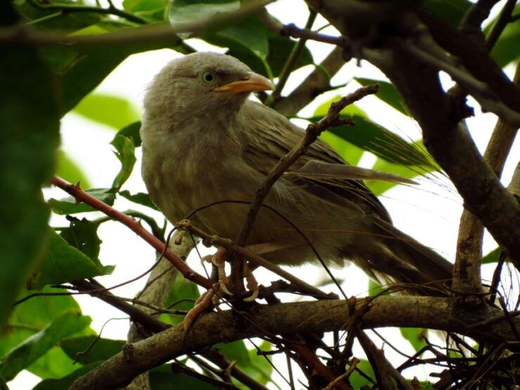 Phong Nha National Park - Paradise Cave & Dark Cave - Tour Overview and Pricing