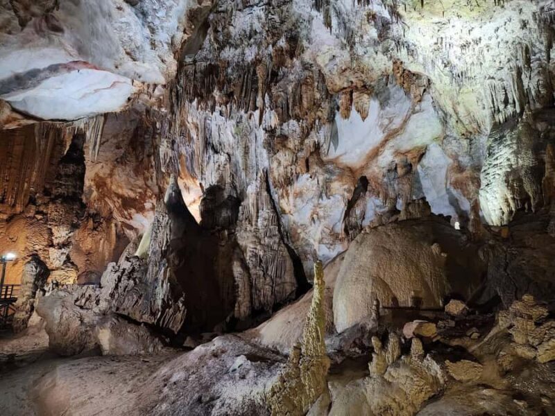 Phong Nha: Paradise Cave & Dark Cave Adventure Day Tour - Who Will Love This Tour?