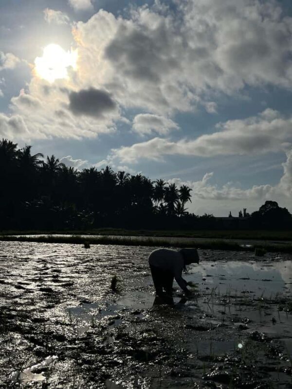 Photo Concept Tour BWI: Sunrise, Culture, and Everyday Life - A Closer Look at the Banyuwangi Photo Tour