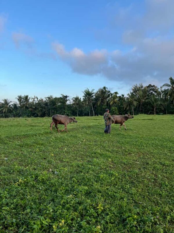 Photo Concept Tour BWI: Sunrise, Culture, and Everyday Life - Exploring Banyuwangi’s Markets and Food Stalls