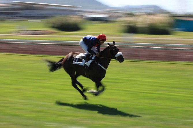 Photo Course - Level 1: Get Out of Automatic Mode! - The Sum Up