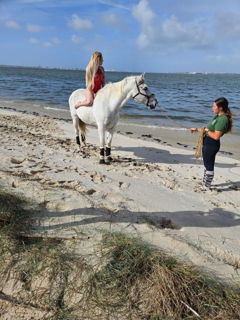Photo Session With Horses on the Beach or in the Countryside - Availability and Cancellation Policy