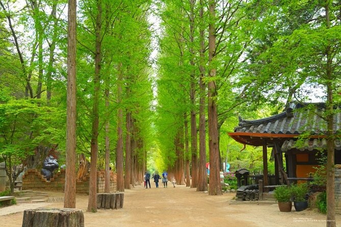 Photo Spot Tour Including Nami Island and 3 More Places - The Sum Up