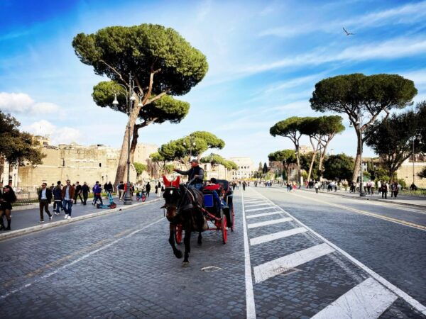 Photo Tour: Historical Rome - The Sum Up