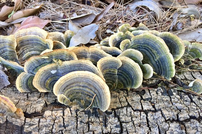 Photo Tour With an Iphone - The Sum Up
