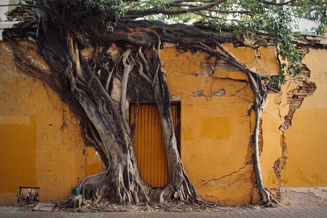 Photo Walking Tour Historic District Mazatlán - Final Thoughts