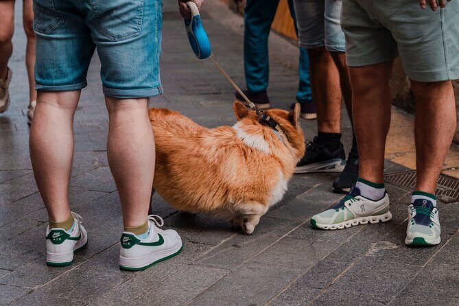 Photo Walking Tour Sagrada Familia and Gaudí in Barcelona - An Introduction to the Tour Experience