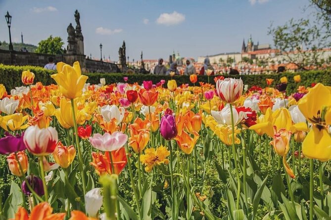 Photogenic Prague 6 Hours Tour by Car - Meeting and Pickup Details