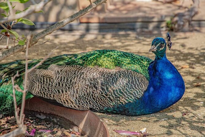 Photogenic Prague 6 Hours Tour by Car - Customer Reviews