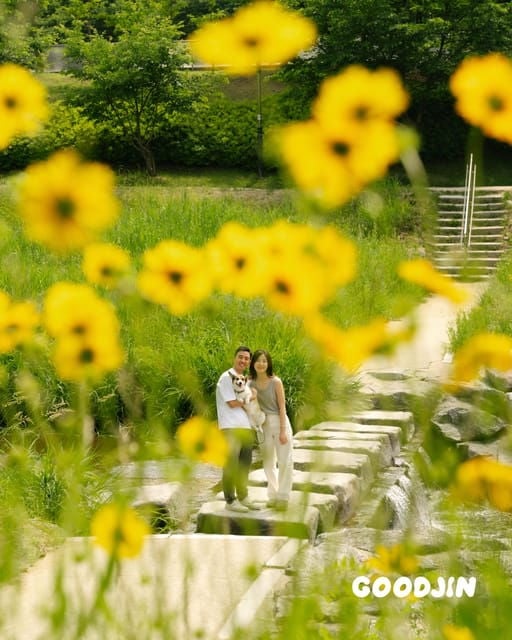 Photography: Personalized Seoul Snapshots - Customer Ratings and Reviews