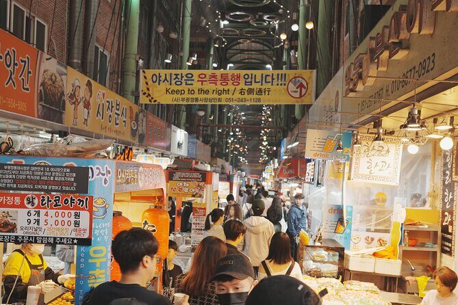 [Photography Tour] Busan Night Tour (Max. 7 Pax) - Good To Know