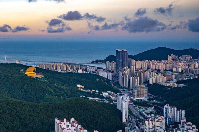[Photography Tour] Busan Night Tour (Max. 7 Pax) - Why This Tour Is Worth Considering