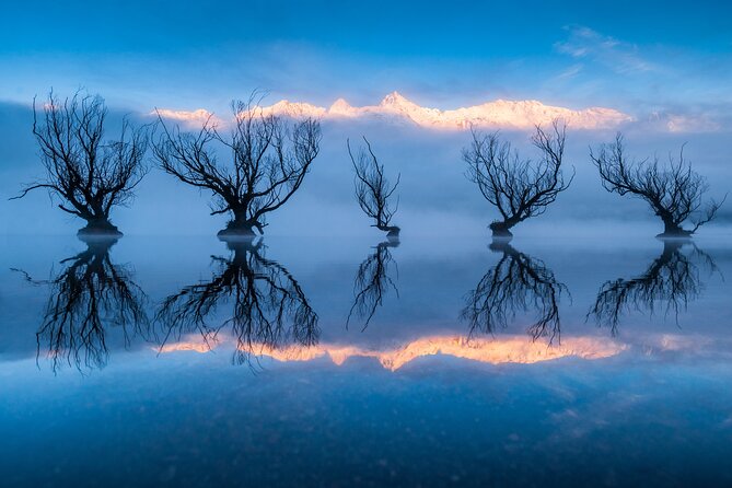 Photography Tour From Queenstown to Glenorchy - 1/2 Day - Tour Overview and Highlights