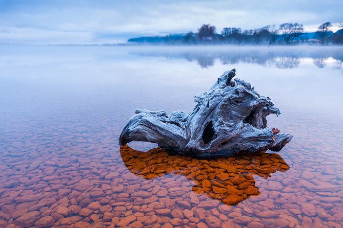 Photography Tour From Queenstown to Glenorchy - 1/2 Day - Ancient Forests