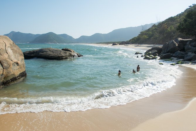 Photography Tour Reveals Rio's Hidden Ecological Gems - Tour Highlights
