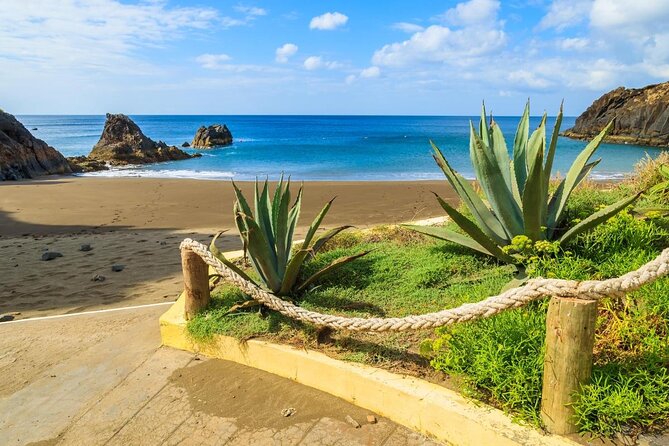 Photography Tour Reveals Rio's Hidden Ecological Gems - Ecological Beaches Exploration