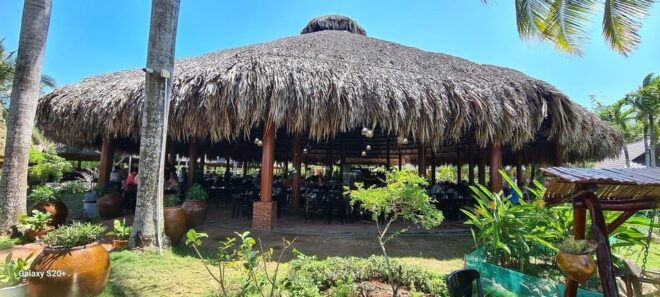 Phu My Port to Mekong Delta (My Tho - Ben Tre) Full Day Tour - Activities and Experiences