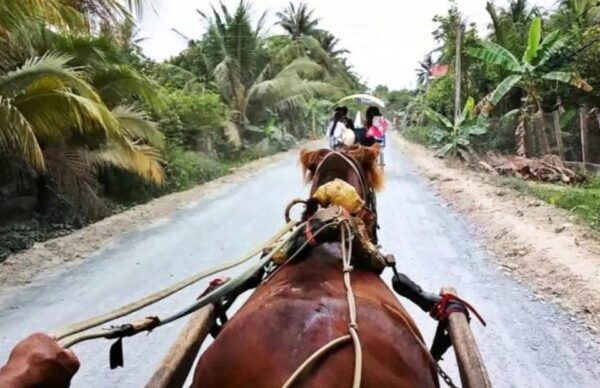 Phu My Port to Mekong Delta (My Tho - Ben Tre) Full Day Tour - Important Information