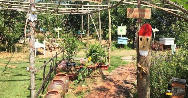 Phu Quoc 1Day Tour Northern Islands & Kayak Adventure - Bee Farm Visit
