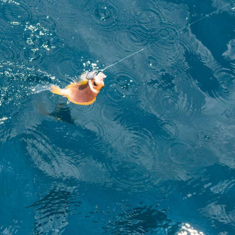 Phu Quoc: 3 Island Tour by Boat with Guide - The Experience from a Traveler’s Perspective