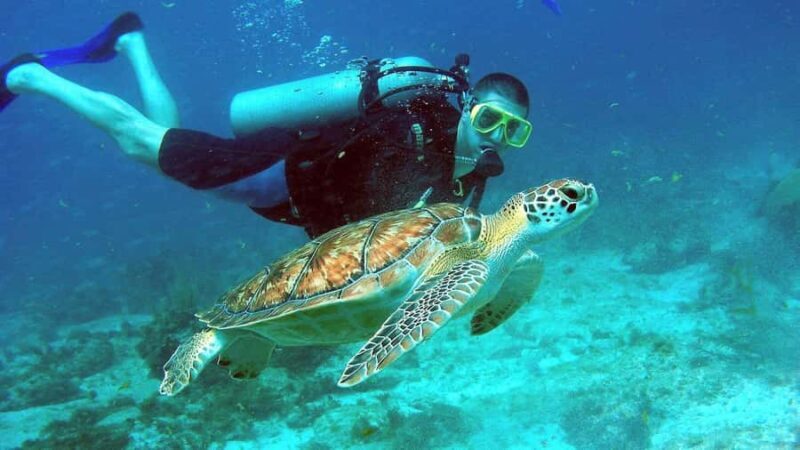 Phu Quoc 4 Islands Snorkeling Tour With Hon Thom Cable Car - FAQs