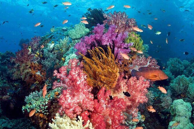 Phu Quoc Boat Trip with Three Islands and Cable car - Itinerary Breakdown