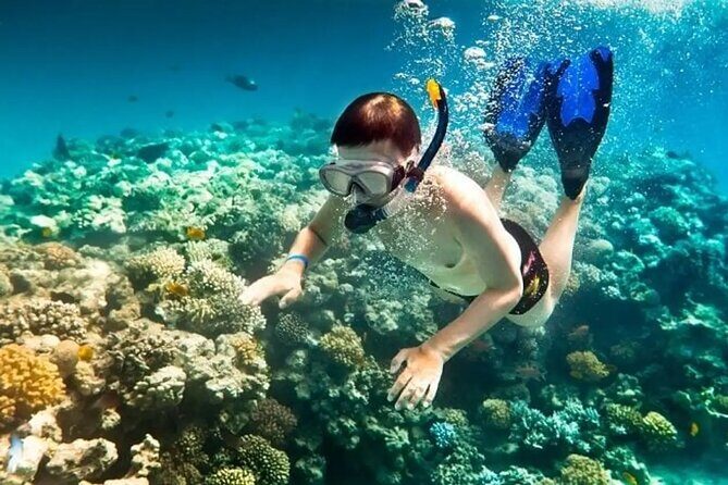 Phu Quoc Boat Trip with Three Islands and Cable car - Practical Aspects and What to Expect