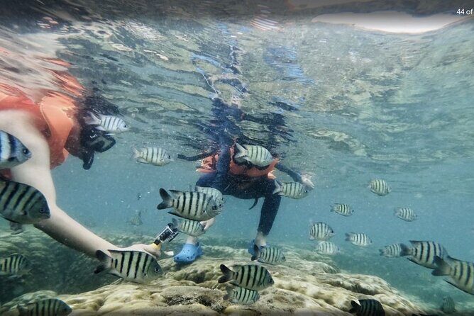 Phu Quoc: Cable Car Ride and 3 Islands Boat Tour with Lunch - Who Will Love This Tour?