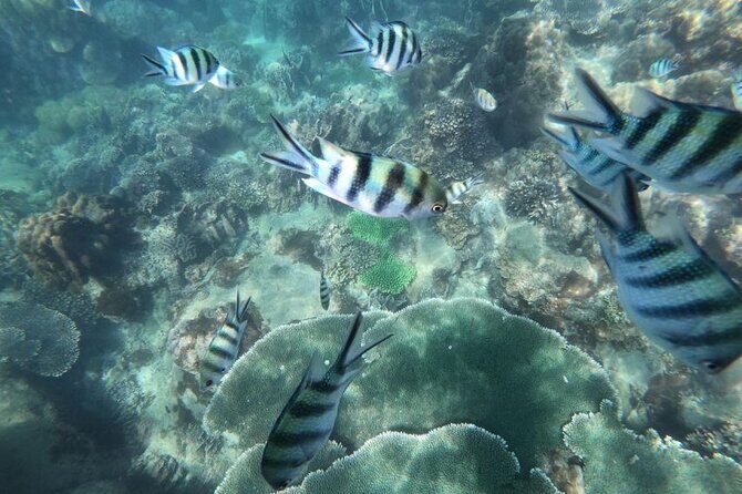 Phu Quoc: Cable Car Ride and 3 Islands Boat Tour with Lunch - Final Thoughts