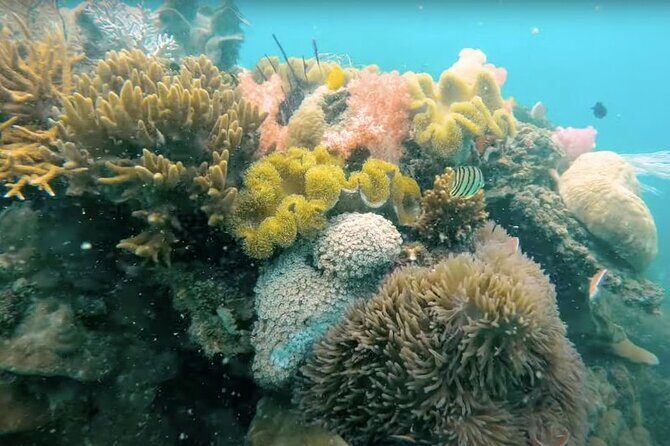 Phu Quoc: Cable Car Ride and 3 Islands Boat Tour with Lunch - Practical Tips and Considerations