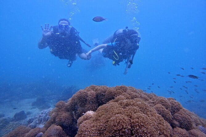 Phu Quoc Car Charter Rental - Practical tips for booking and enjoying the tour