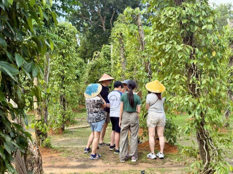 Phu Quoc: Classical Army Jeep Tour to North Island - Good To Know