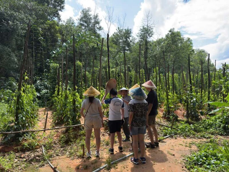 Phu Quoc: Classical Army Jeep Tour to North Island - Authentic Experiences & Review Highlights