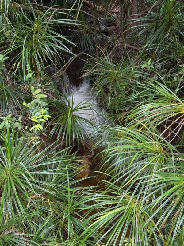 Phu Quoc: Classical Army Jeep Tour to North Island - Who Would Love This Tour?