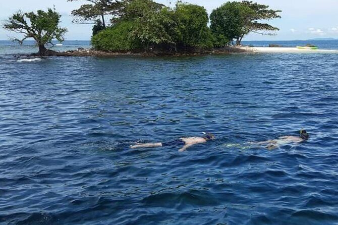 Phu Quoc Coral Reef Diving 1Day Tour - What’s Included and What to Expect