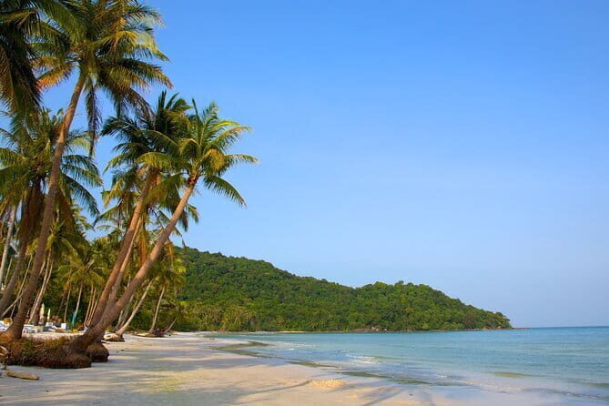 Phu Quoc Cua Can river Full Day Tour - Introduction: Why This Tour Stands Out