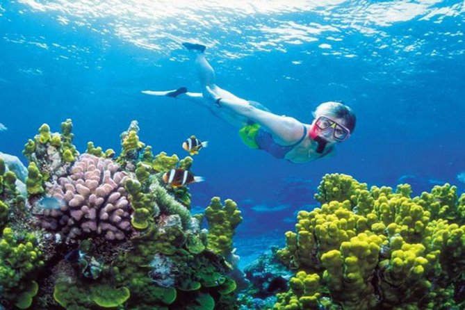 Phu Quoc Discovery Package 3D2N - Date and Traveler Selection