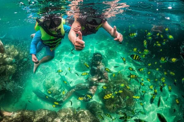Phu Quoc Four Islands by Canoe and Enjoy Cable Car - Enjoy Cable Car Ride