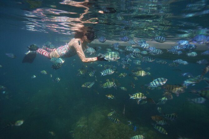 Phu Quoc Full-Day Canoe and Hon Thom Cable Ride - Final Thoughts: Is It Worth It?