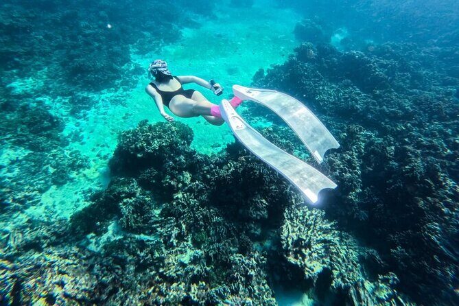 Phu Quoc Full-Day Canoe and Hon Thom Cable Ride - Final Verdict