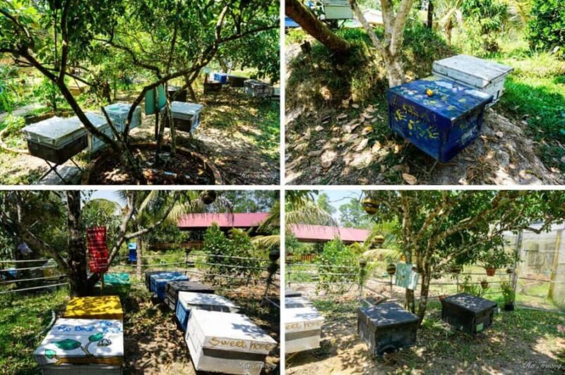 Phu Quoc: Honey Farm, Starfish Beach, and Grand World Tour - Pricing and Value