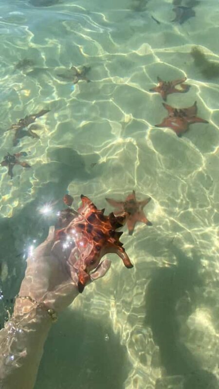 Phu Quoc: Honey Farm, Starfish Beach, and Grand World Tour - Good To Know