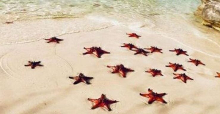 Phu Quoc: Instagram Tour With Photoshoot and Edited Photos - Photographer Expertise